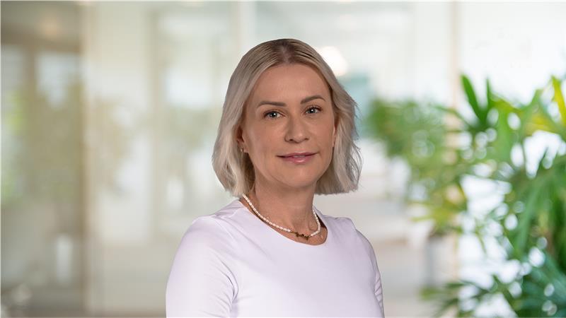 Holley Stonehosue Background Dec 2025